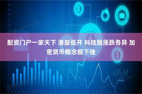 配资门户一家天下 港股低开 科技股涨跌各异 加密货币概念股下挫